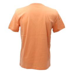 50447978 Diragolino212 Arancione