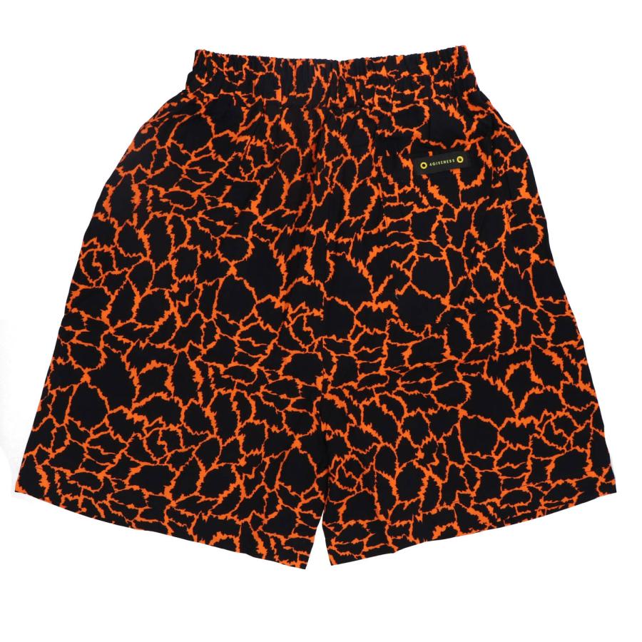 4giveness Bermuda SHORT STAMPA VISCOSA Multicolore 3