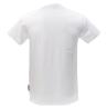 T-shirt FILOU REG T-SHIRT Multicolore Bianco