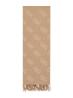 Sciarpe AW5217 SCARF 70X190 Beige