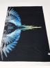 BEACH TOWELS BLU