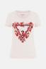 W6RI23JI314 SN CN FLOWERS TRIANGLE Rosa