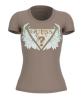 W6GI12K3027 SS CN FLOWER TRIANGLE  Marrone
