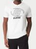 Z6RI06I3Z14 KELE CN SS T-SHIRT Bianco 