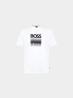 50556009 APP JAN DROP A Bianco