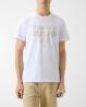 M6RI09I3Z14 SS BSC PAINTED TRIANGLE Bianco