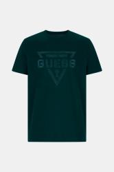 M6RI09I3Z14 SS BSC PAINTED TRIANGLE Verde