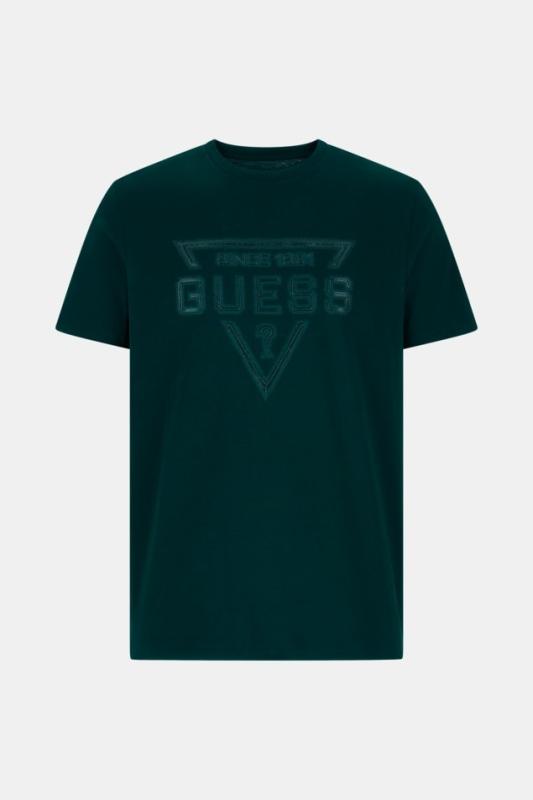 M6RI09I3Z14 SS BSC PAINTED TRIANGLE Verde