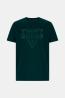 M6RI09I3Z14 SS BSC PAINTED TRIANGLE Verde