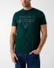 M6RI09I3Z14 SS BSC PAINTED TRIANGLE Verde