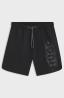 50561096 SPRAY SWING SHORTS  Nero 