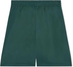 7M002319AF12449 TRAIN GRAPHIC Verde
