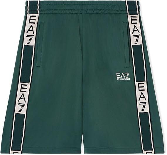 7M002319AF12449 TRAIN GRAPHIC Verde