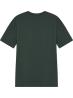 7M001540AF16722 T-SHIRT TENNIS CLUB Verde