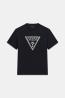 M6YI47K4233  TRIANGLE LEAVES EMBROIDE Nero