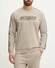 Z4GQ24K6ZS1 ARLO CN SWEATSHIRT Beige