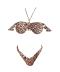 Bikini balconcino e slip  Marrone leopardato