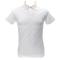 NOLAN SS POLO LOGO Bianco